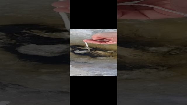 1000111665.mp4
