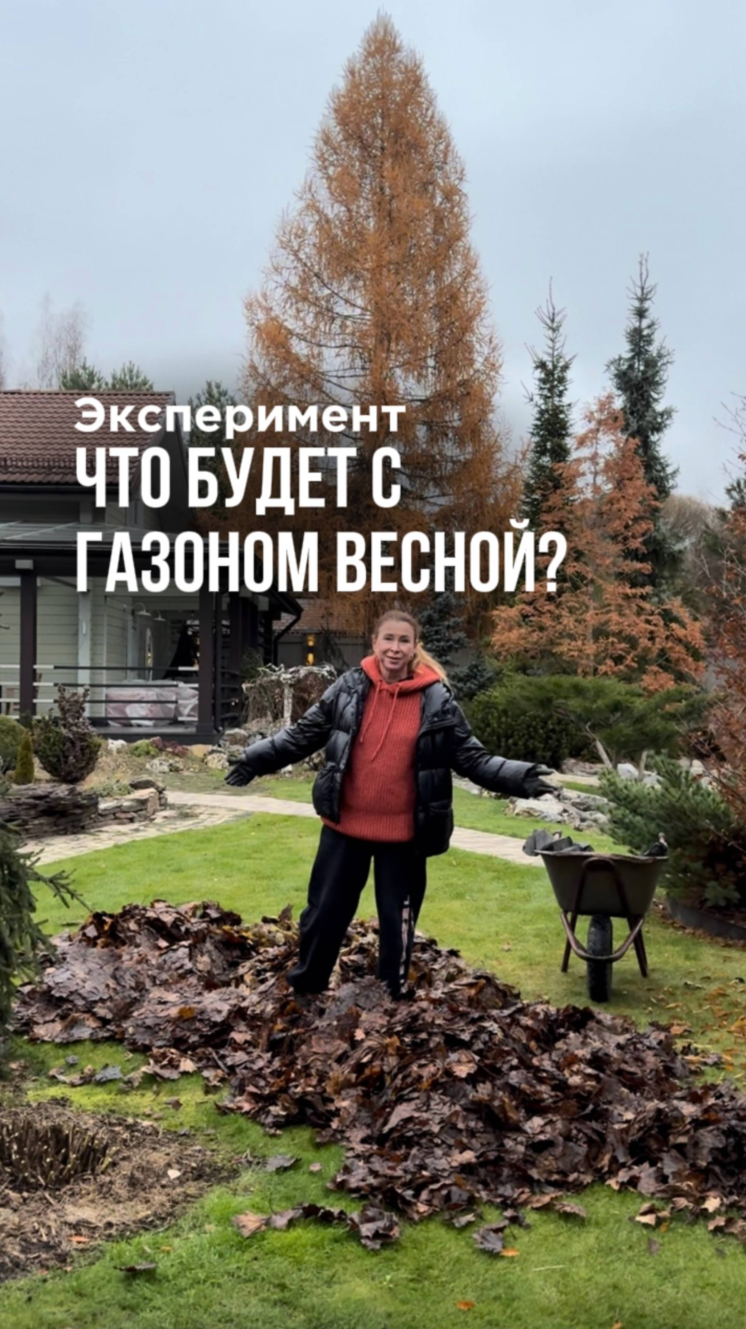 Убирать ли листву с газона?!