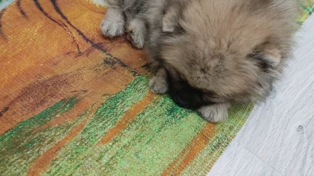 Моя малышка 🥰