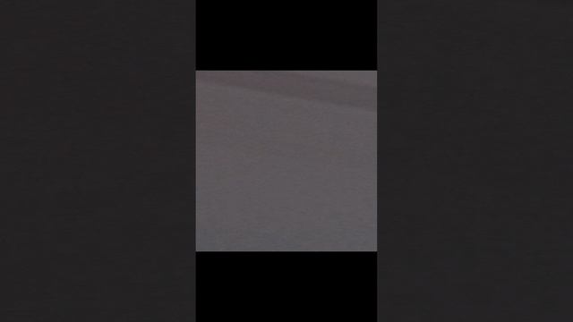 VID_20241121_131959_1.mp4