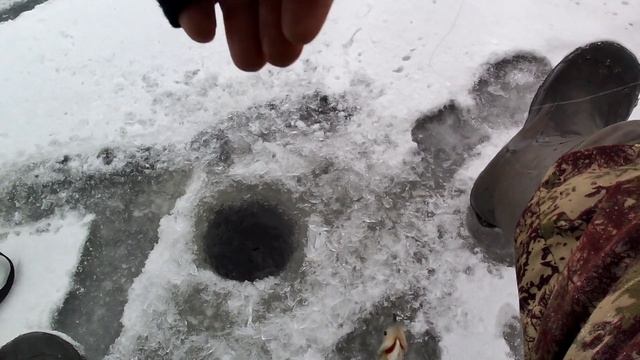 ЛОВЛЯ ОКУНЯ НА БЕЗМОТЫЛКУ. 2024-2025.