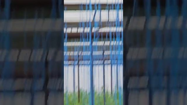 Трудяги шмели готовят огурцы по 1000 руб за кг!