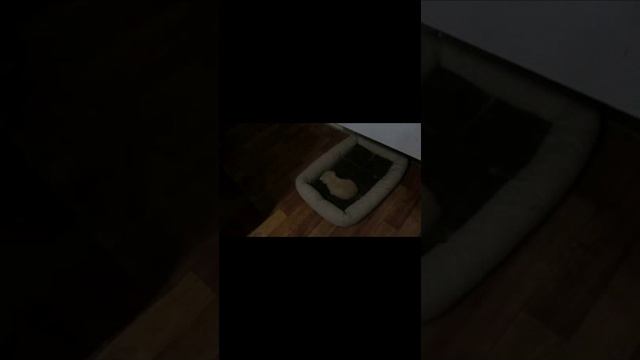колыбельная