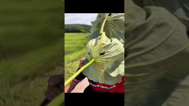 Защита 100% 😎