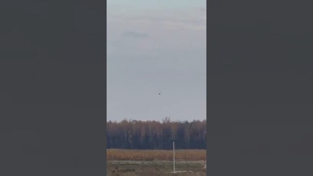 Ударный вертолёт 🚁 Ка -52 Вкс России сбивает вражеский дрон камикадзе