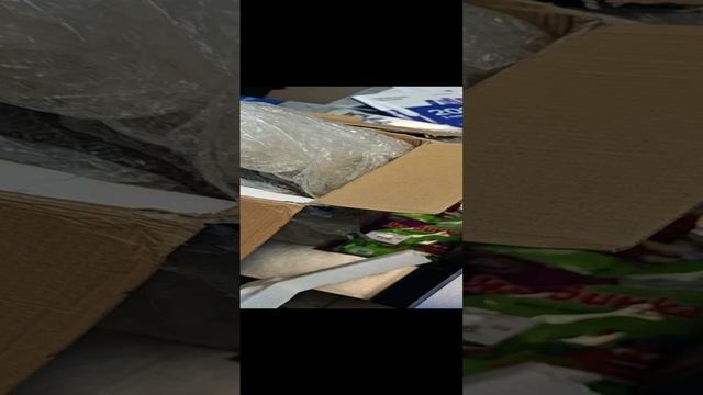 VID_20241121_172404