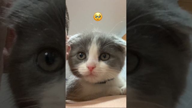 Откуда же я?