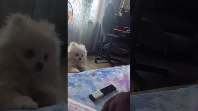 1000025246.mp4