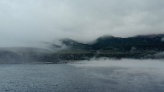 Охота на хитрую рыбу