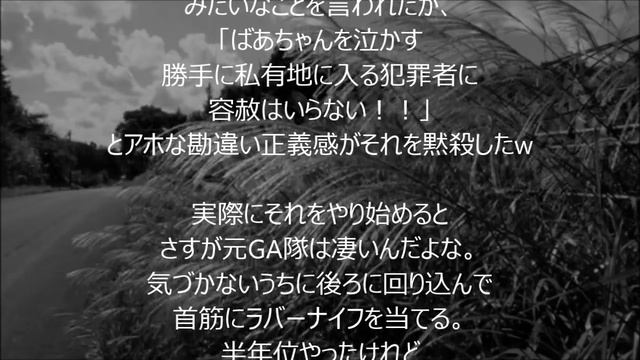 【メシウマ】 元GA隊員がDQNの首筋にナイフを当てた…「婆ちゃんを泣かす犯罪者に容赦はいらん！」 【スカッとする話】【２ちゃんねる】
