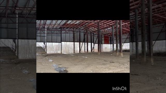 1000053659.mp4