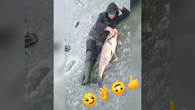 #FISHING_video рыба