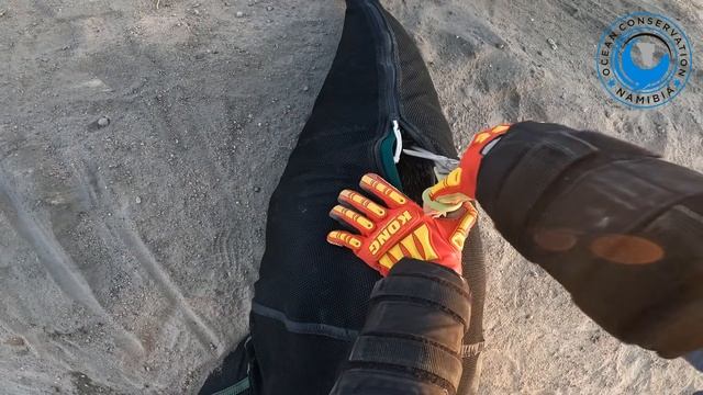 Dock Seal Bull Rescued From TWO Entanglements