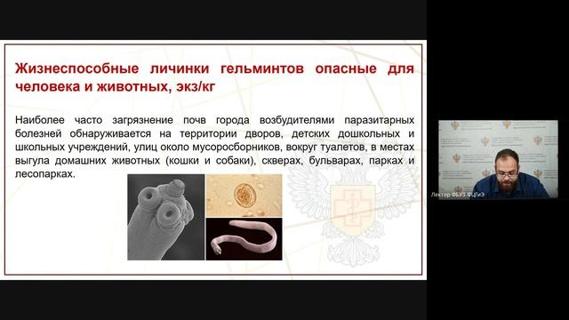 2.2. Краскевич Д.А. Почва