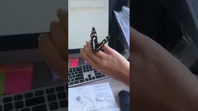 1000122300.mp4