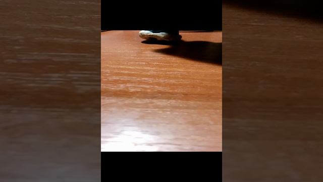 VID_20241121_164154.mp4