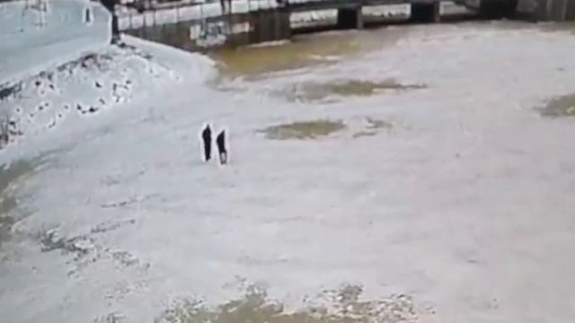 В Екатеринбург не успела прийти зима, а уже нашлись экстремалы, желающие погулять по тонкому льду.
