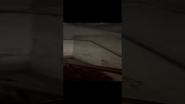 ПУБЛИЧНЫЙ ДОМ ТАМБОВА