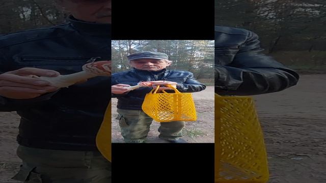 Грибник Маугли и Мухомор.  Лес в Гусино.