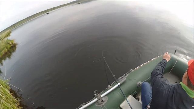 Озеро Багаряк 04.06.2016