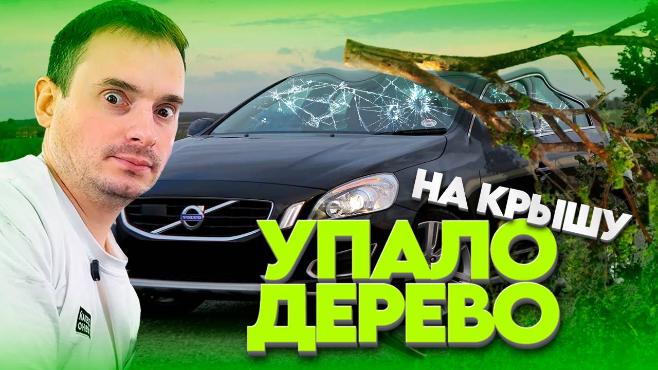 Упало дерево на VOLVO 🆘 Получится ли спасти крышу?  #ДЕЛАЙРОВНО #PDR #дерево #крыша #вмятина #авто