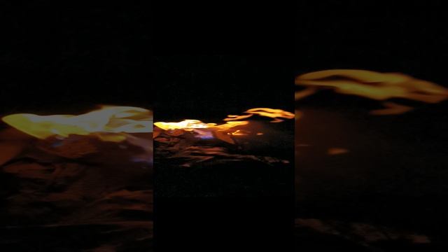 1000005016.mp4