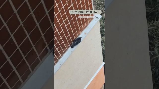 117937484_1427141564145190_7029838168086888906_n