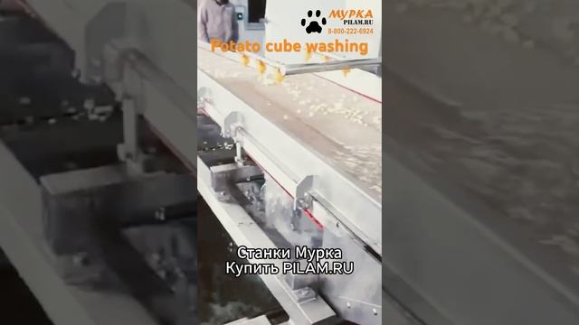 Мурка Станок для мытья овощей и фруктов с распылительным устройством WA-2000 цена pilam.ru