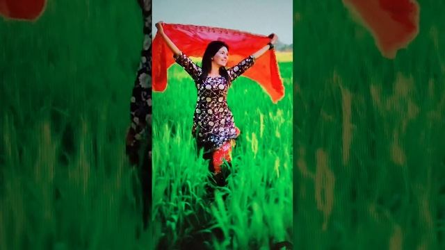 ☀️Моѣ стіхоТВОРЕНИѢ (в комментариях), Таня Шішкина-Чугайнова, ЗАТО п. Сібирский, АЛтайскій кр.
