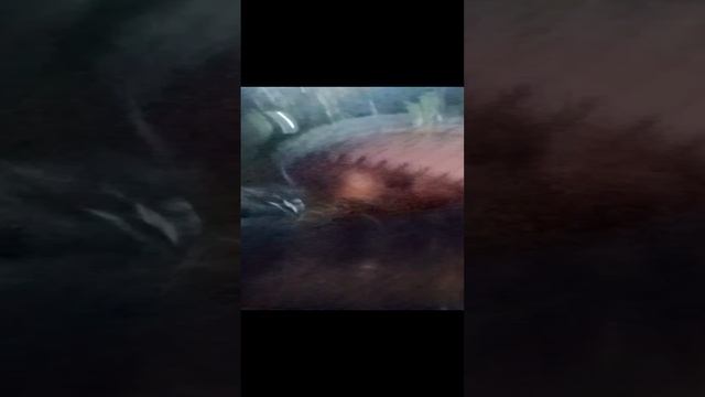иду в шк