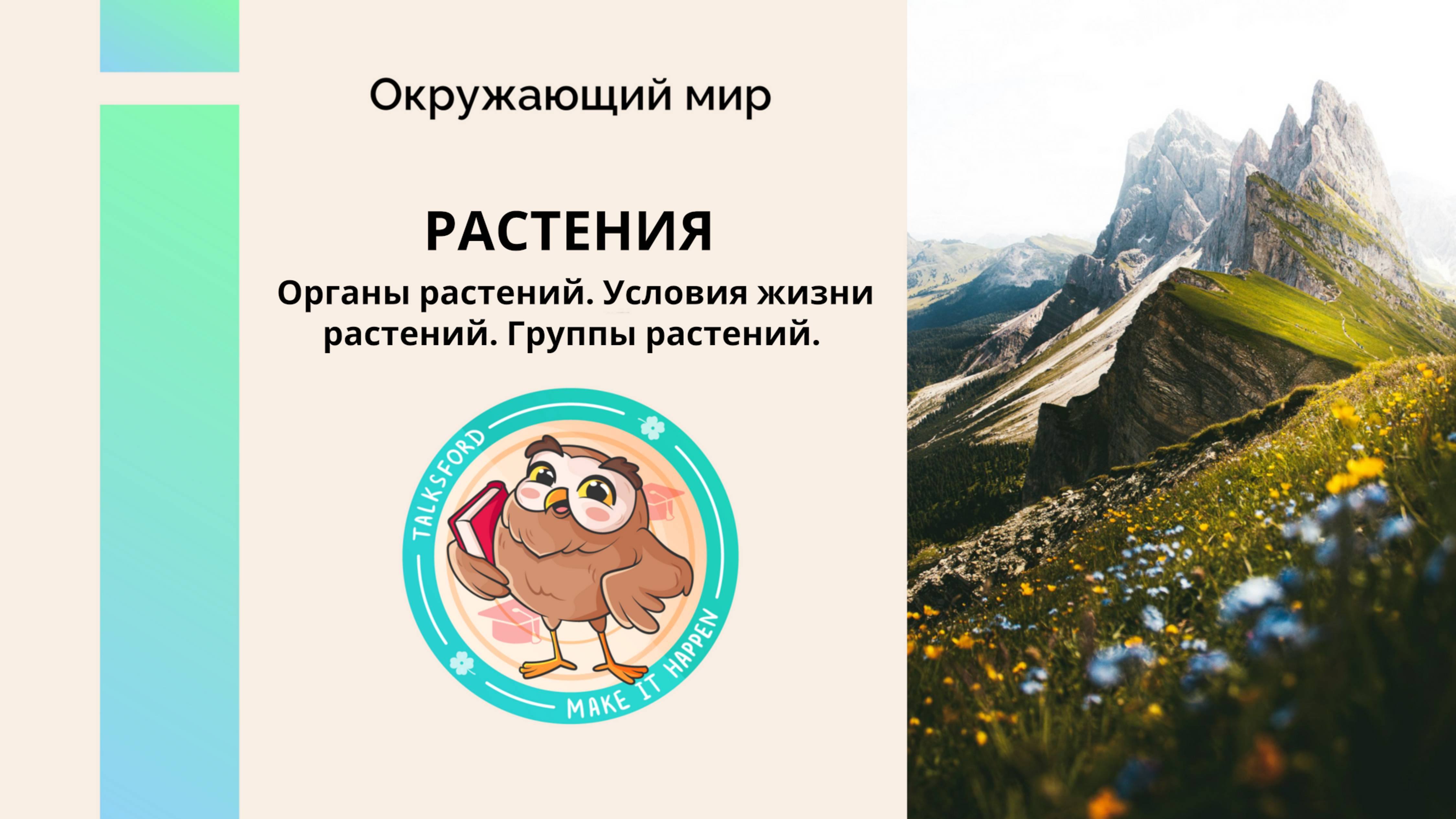 Окружающий мир. Растения. Органы растений. Условия жизни растений. Группы растений