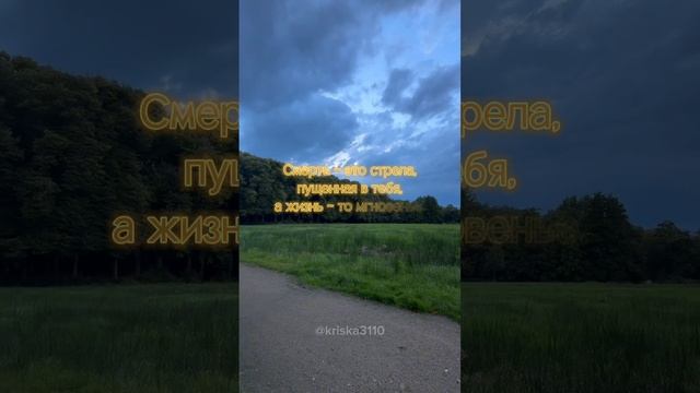Цитата