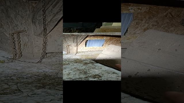 1000012204.mp4
