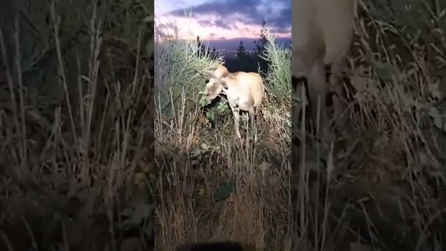 Что, черт возьми, только что произошло?
