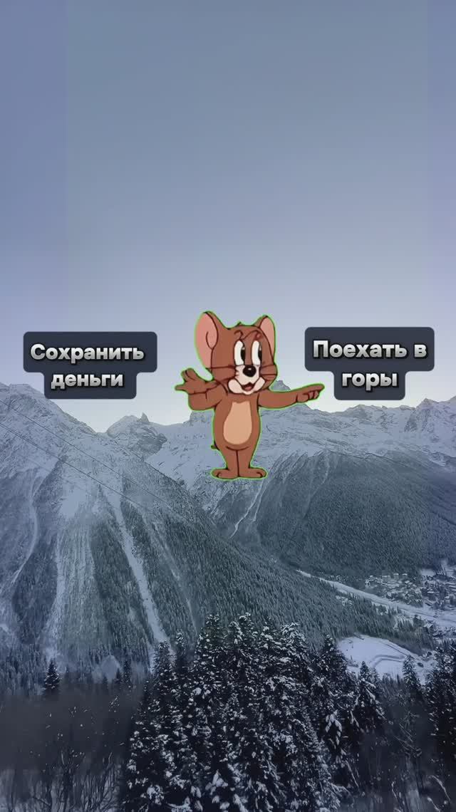 copy_B79F9699-D5C3-4024-A0C5-4D1468730795