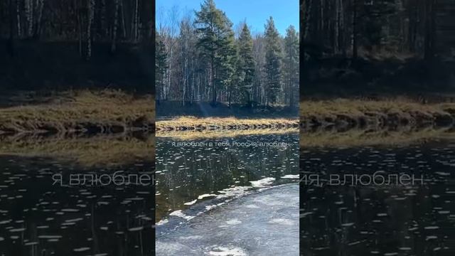 🇷🇺Я ЛЮБЛЮ ТЕБЯ РОДИНА♥️РОССИЯ♥️🌹🌹🌹