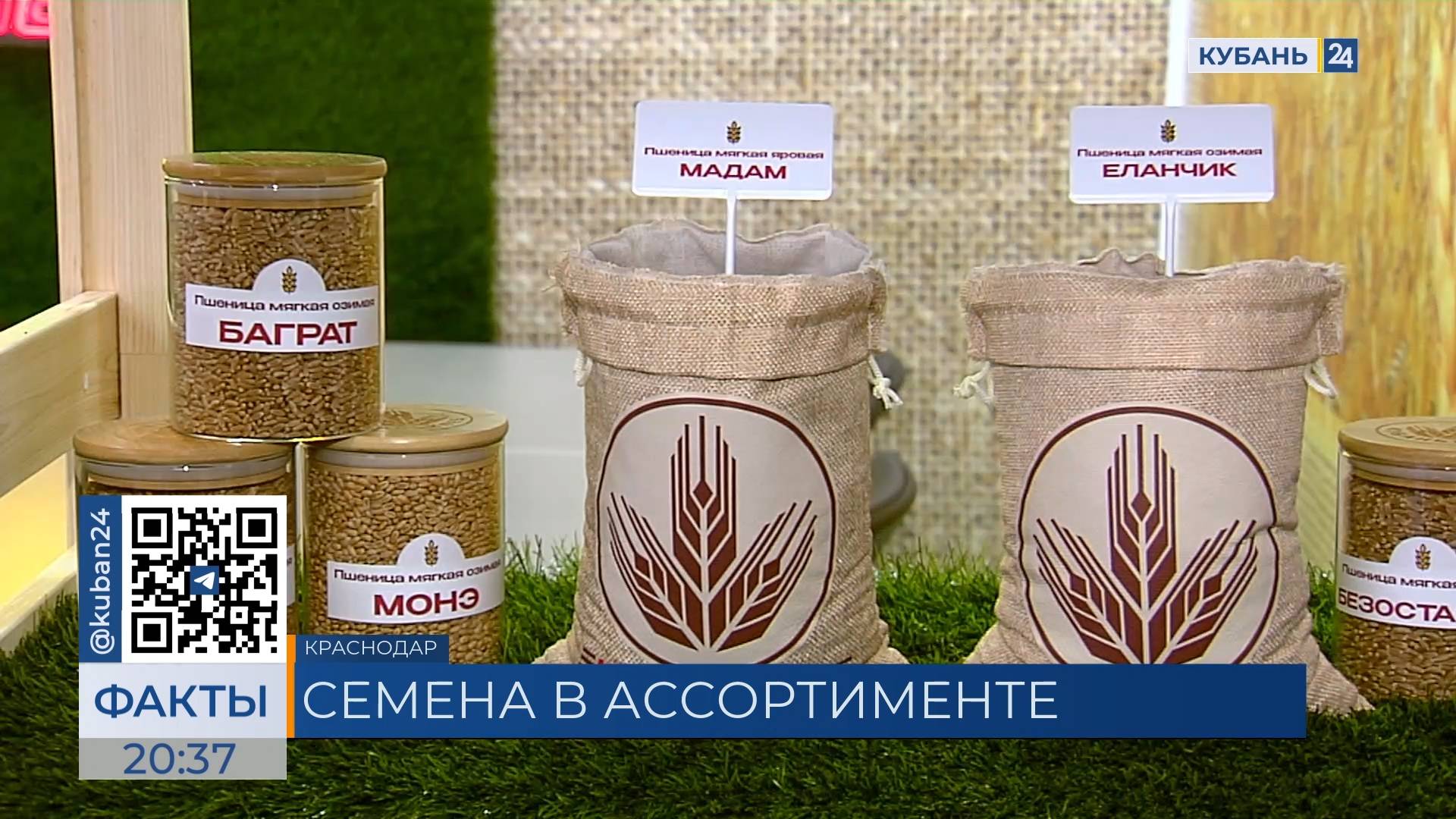 АПК «Кубаньхлеб» стал участником Международной выставки «ЮГАГРО 2024»