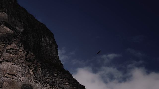 Тизер Ушедшие в метель, Реж. Р. Тихомиров