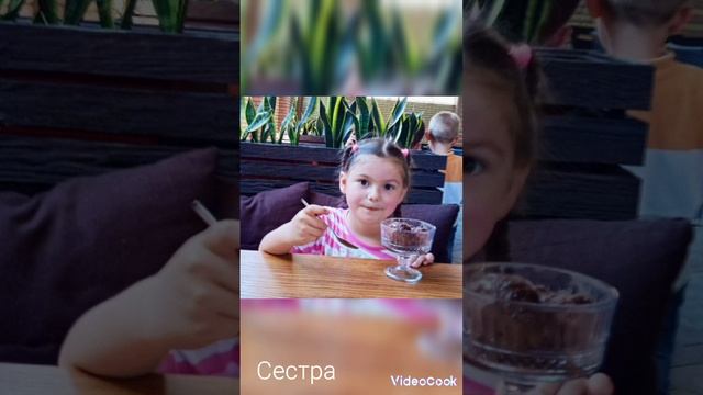 мои друзья моя жизнь