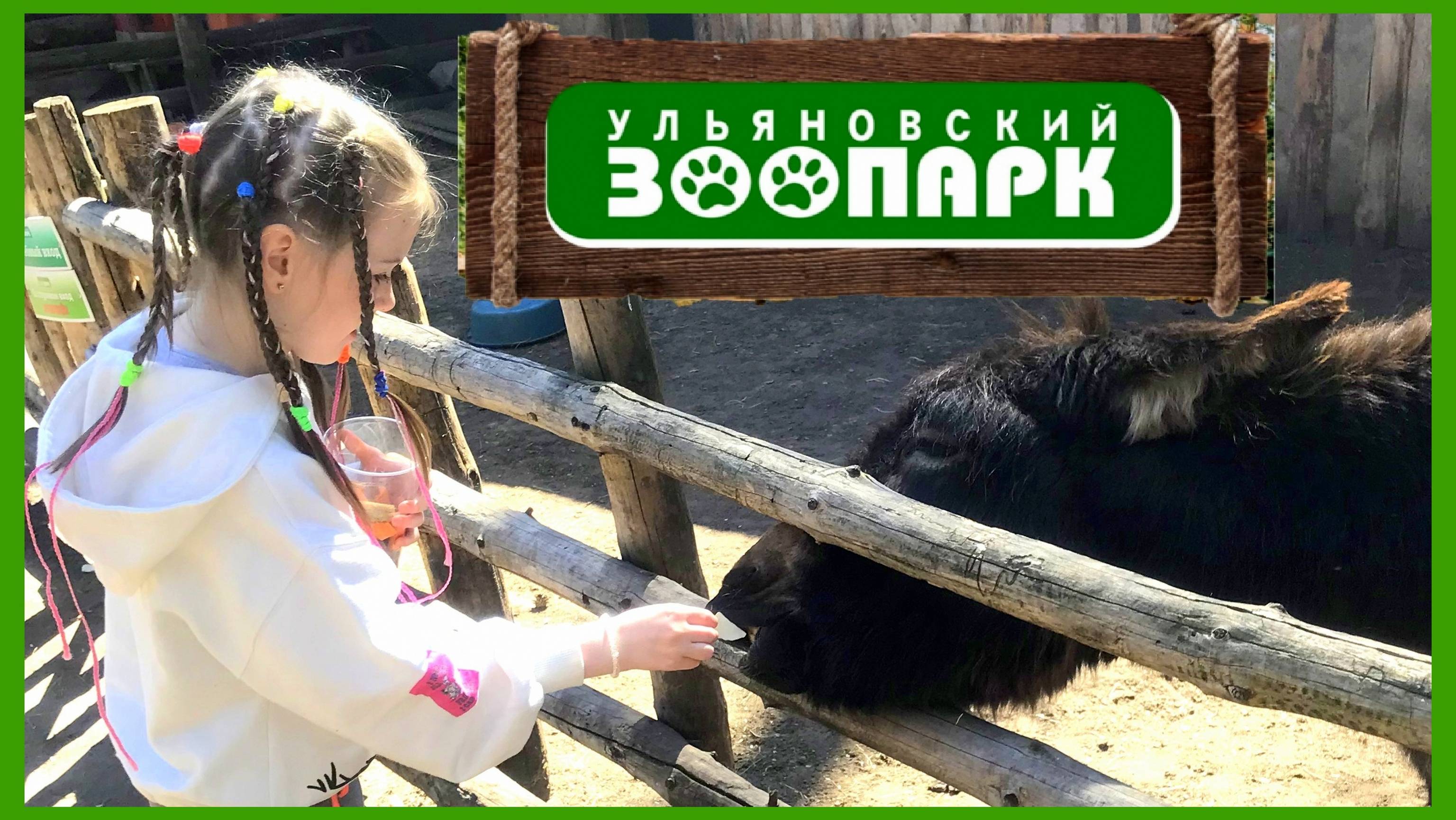 Покормили животных в Ульяновском зоопарке 🐵 Весна 2024 г.