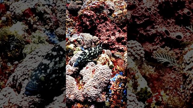 Взгляд на мир с высоты птичьего полета
