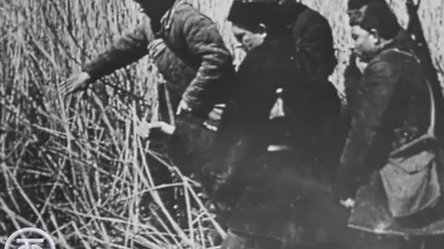 4.10 ВИА__Песняры___Белоруссия__1979