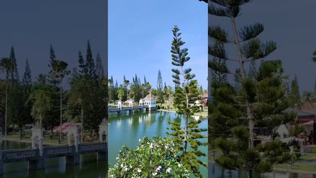 video_2024-11-18_09-44-01