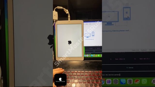 Разблокировка и обход iCloud блокировки с изменением серийного номера на iPad Air 1st 32GB Silver