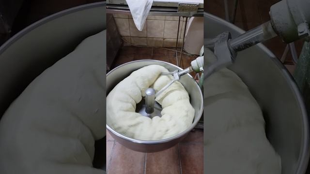 VID-20241119-WA0028.mp4