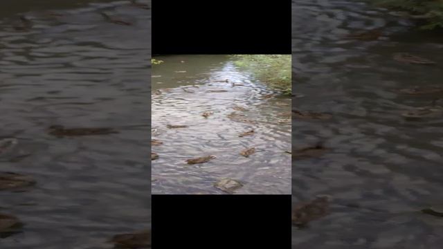 1000000956.mp4