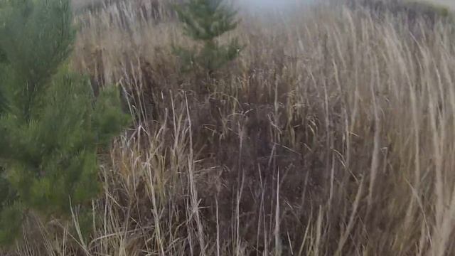 Охота на тетерева гусинным шагом. Вспомнил армию!