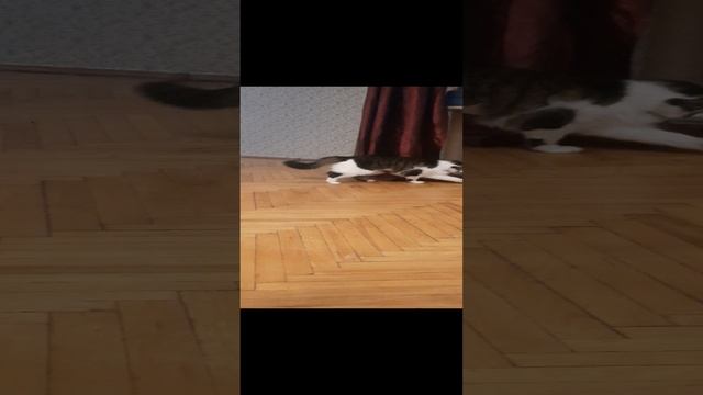 1000000074.mp4