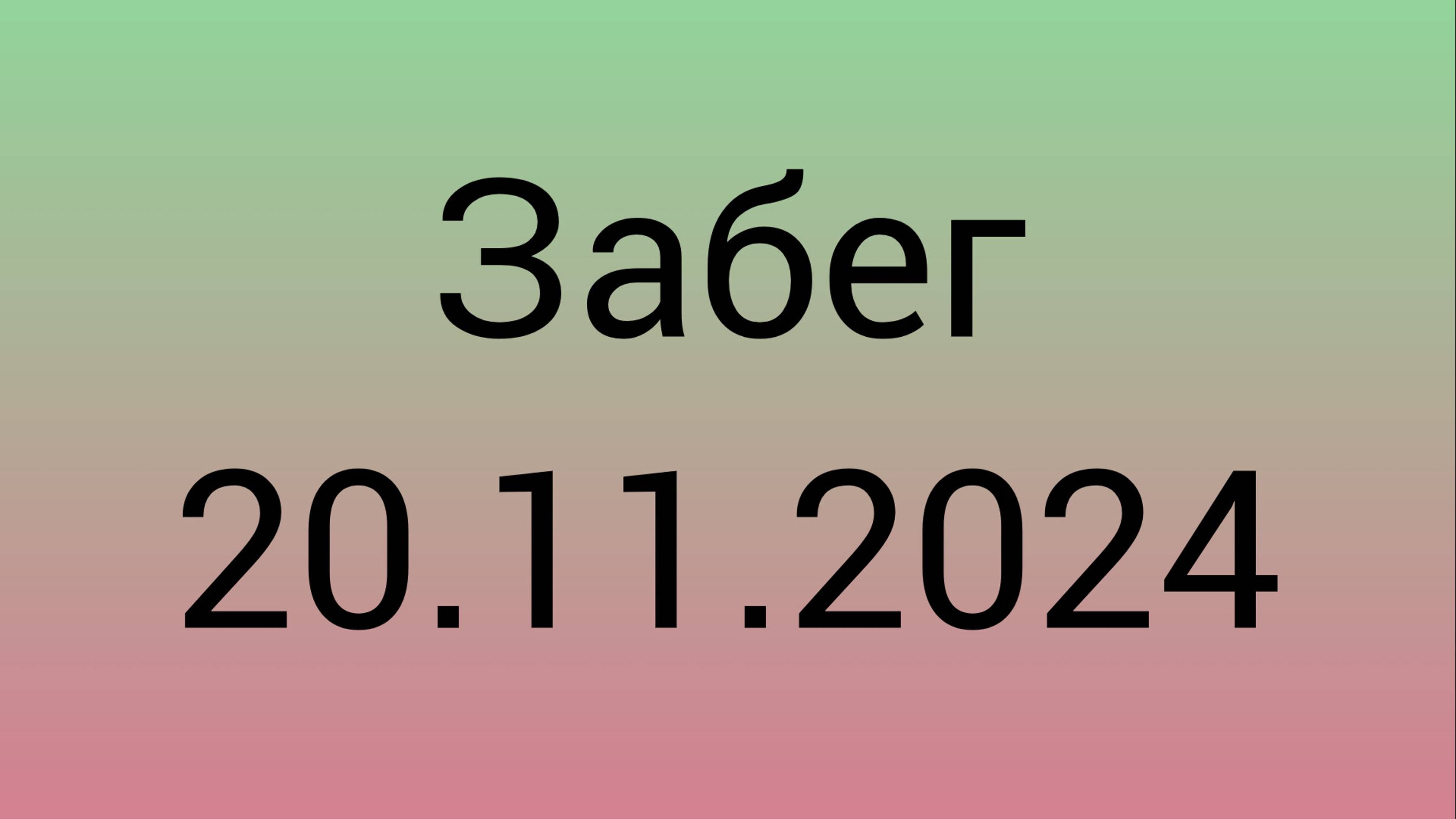 Забег 20.11.2024