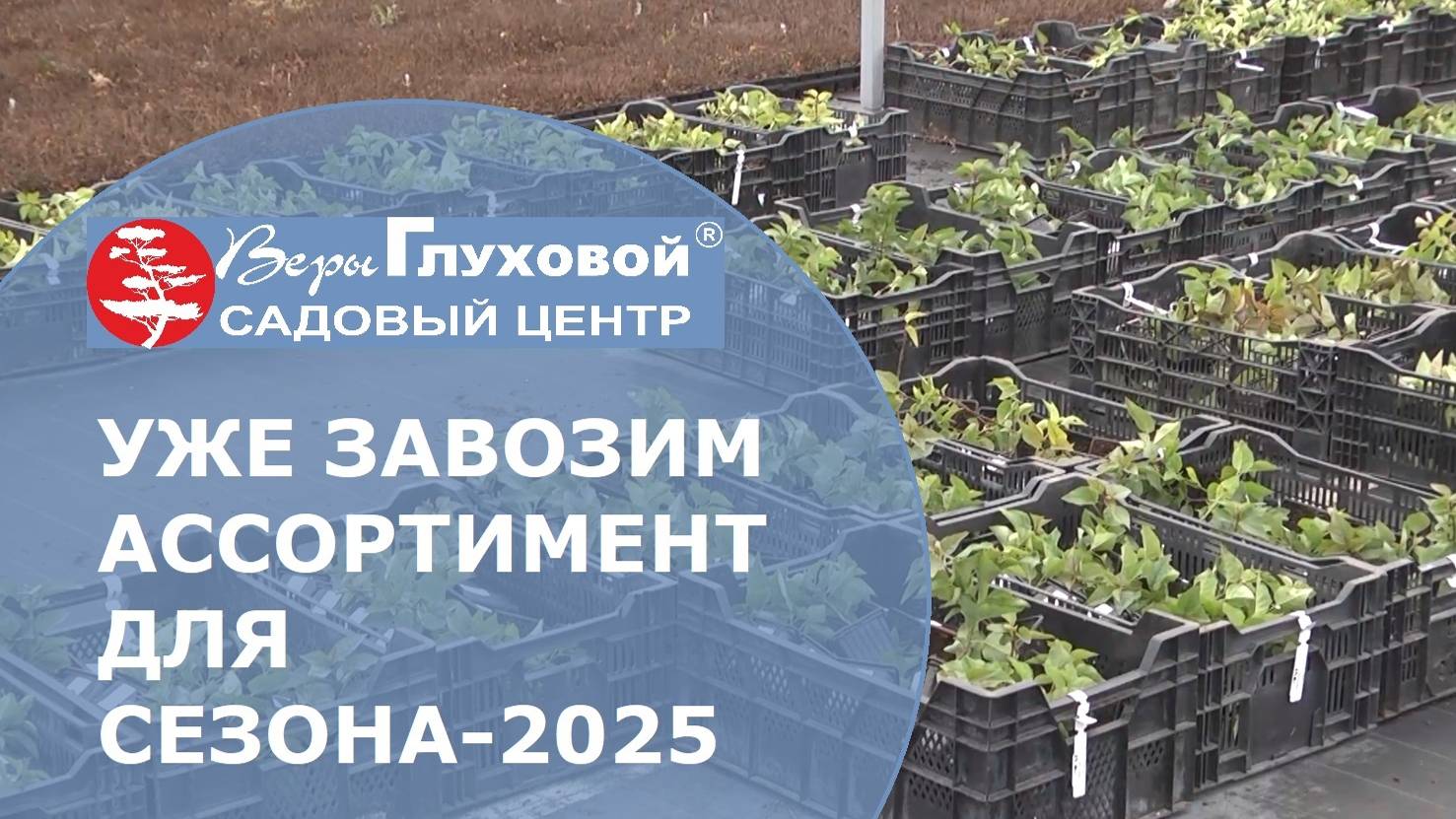 Начали подготовку к сезону - 2025